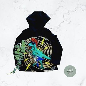 Fabkids | Size 2T rock’n T-Rex hooded T-shirt